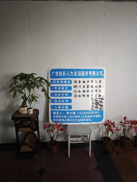 廣東勝杯人力資源服務(wù)有限公司